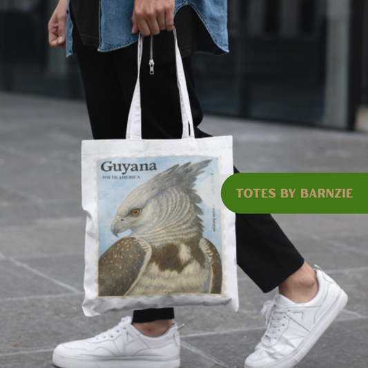 Barnzie Canvas Tote Bag